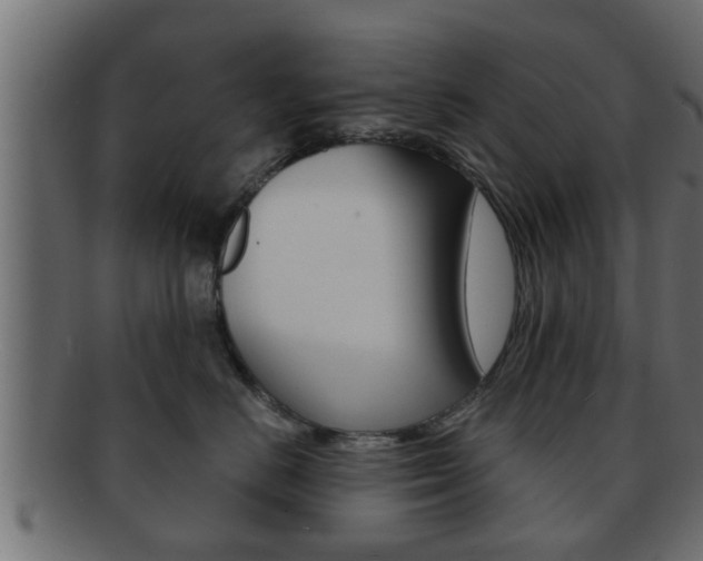 X0000092310670200709141032