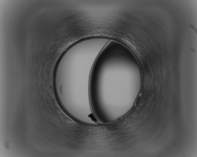 X0000092310673200709141031