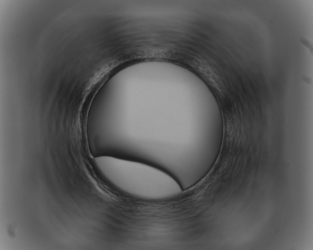 X0000092310674200709141031