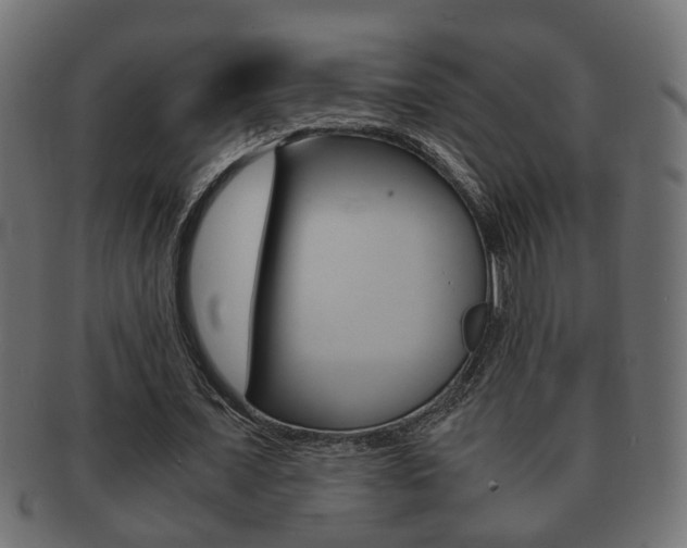 X0000092310675200709141031
