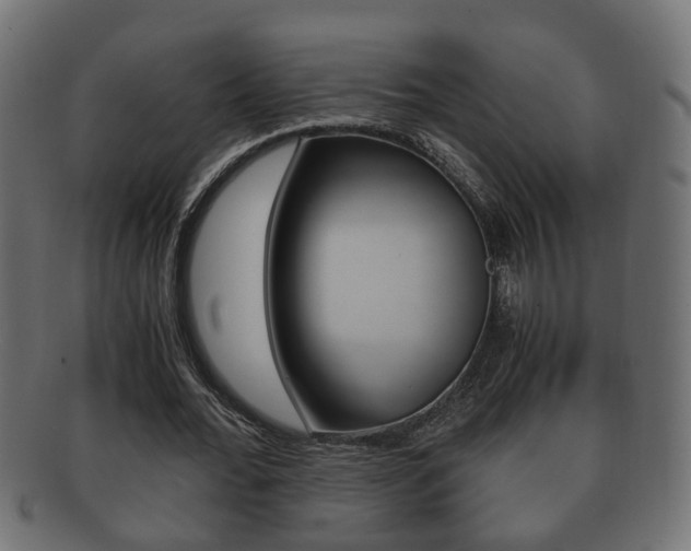 X0000092310676200709141031