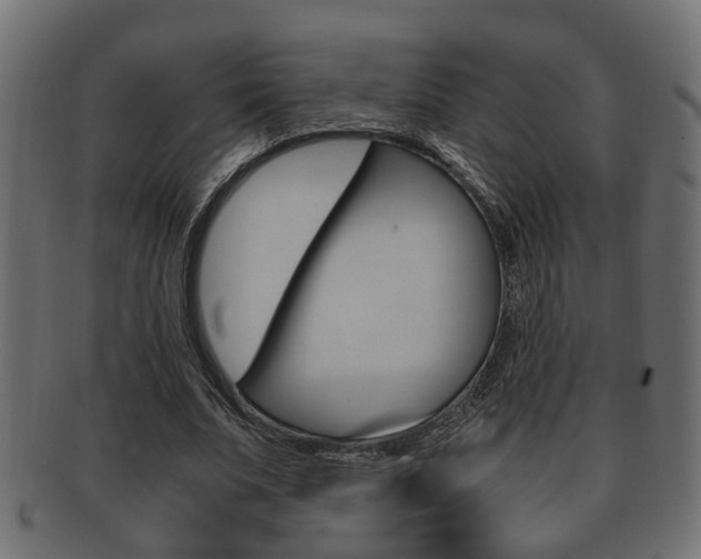 X0000092310679200709141031