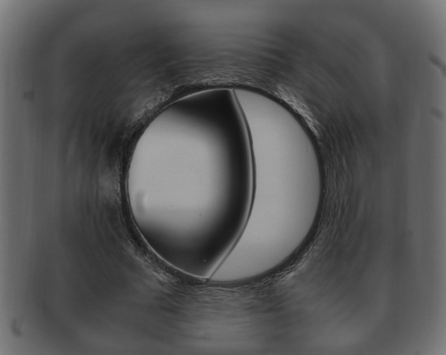 X0000092310681200709141031