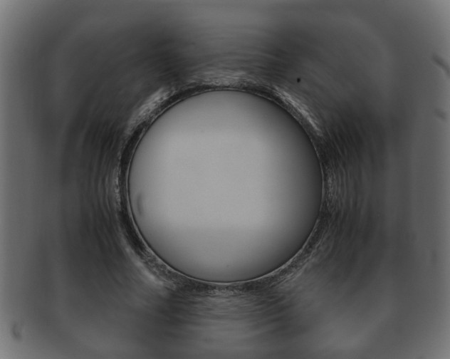 X0000092310682200709141031