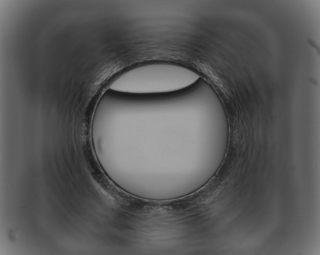 X0000092310683200709141031