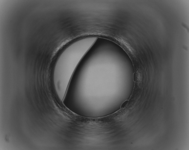 X0000092310684200709141031