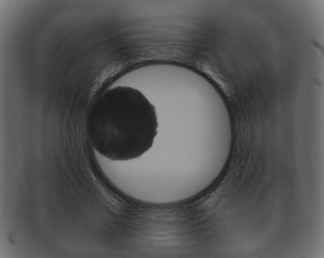 X0000092310685200709141031