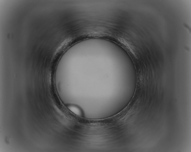 X0000092310686200709141031