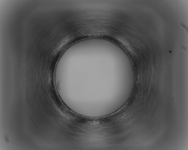 X0000092310687200709141031