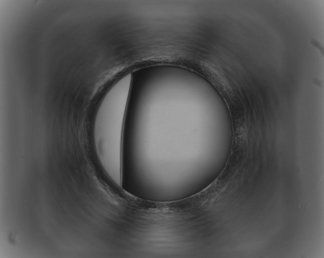 X0000092310688200709141031
