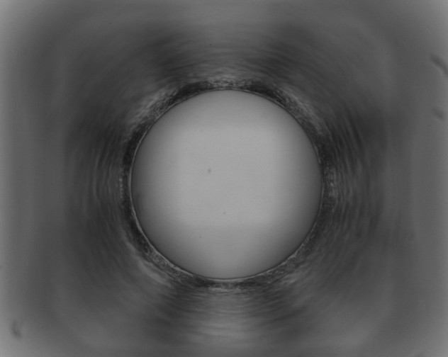 X0000092310690200709141031
