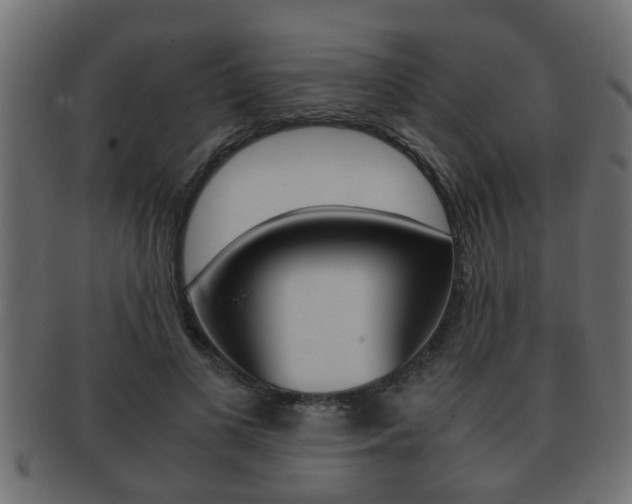 X0000092310693200709141031