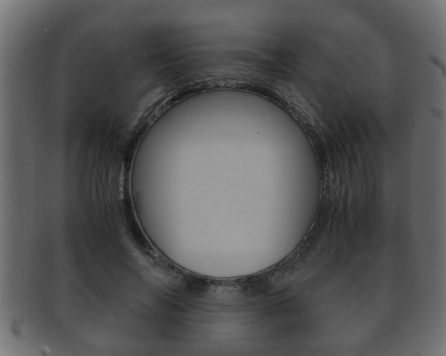 X0000092310694200709141031