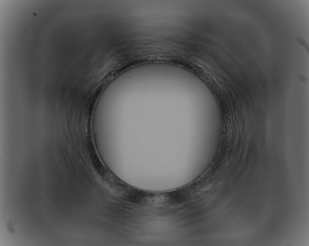 X0000092310695200709141031