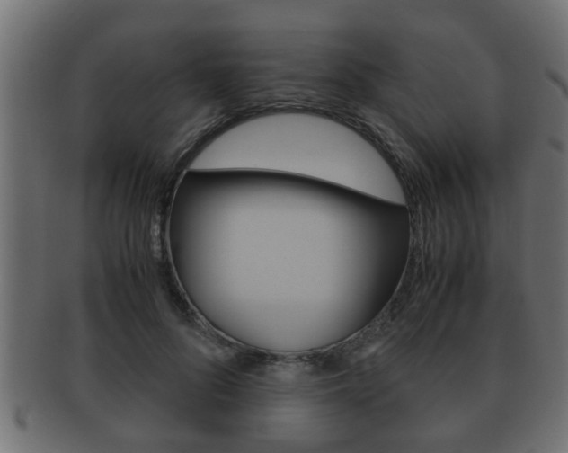 X0000092310696200709141031