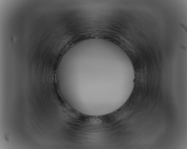 X0000092310702200709141031