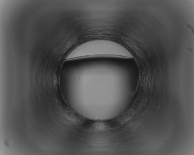 X0000092310704200709141031