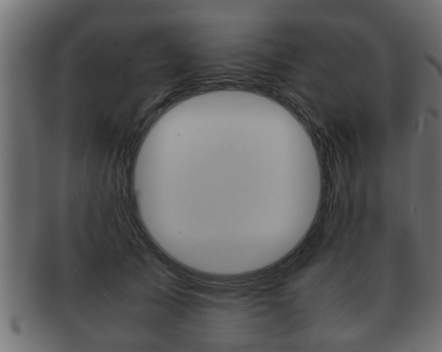 X0000092310705200709141031