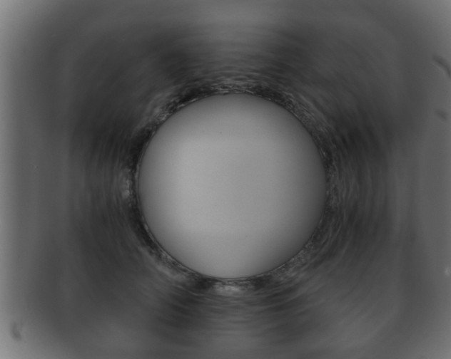 X0000092310706200709141031