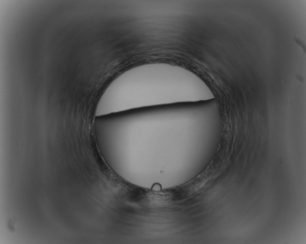 X0000092310707200709141031