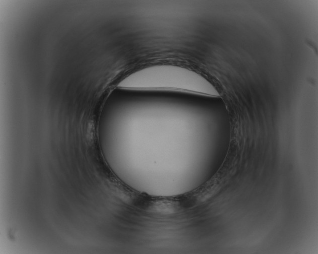 X0000092310708200709141031