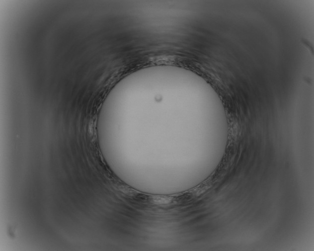X0000092310709200709141031