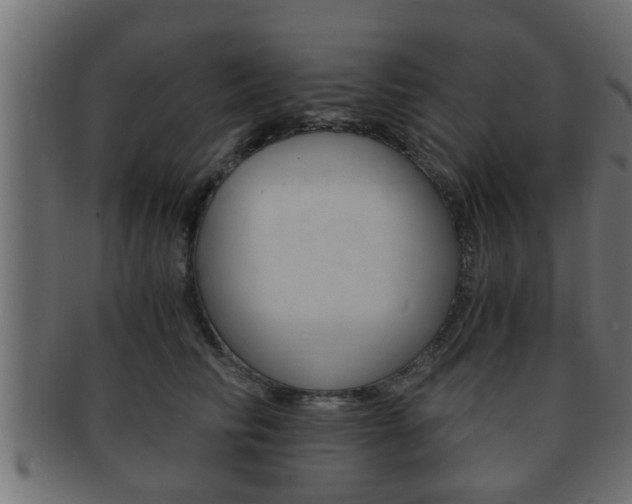 X0000092310710200709141031