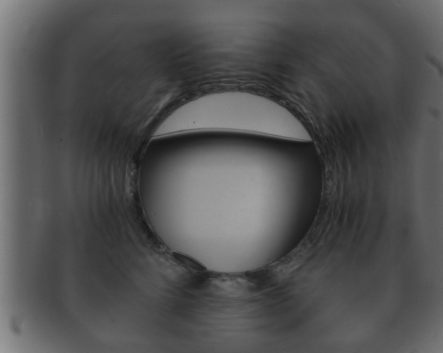 X0000092310712200709141031