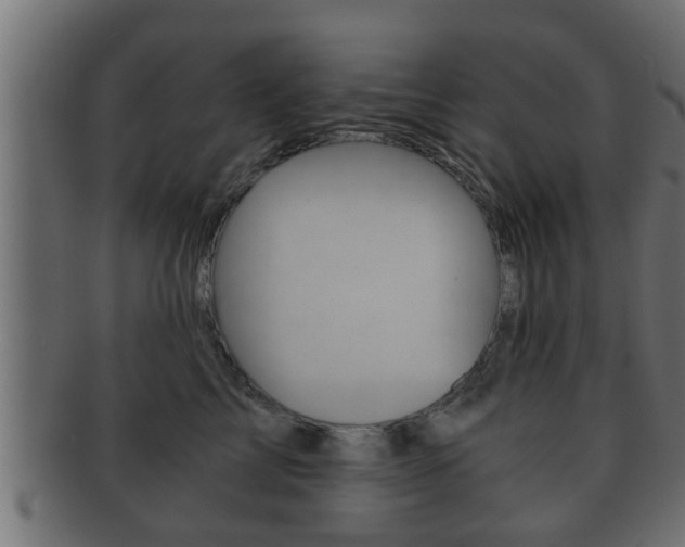X0000092310713200709141031
