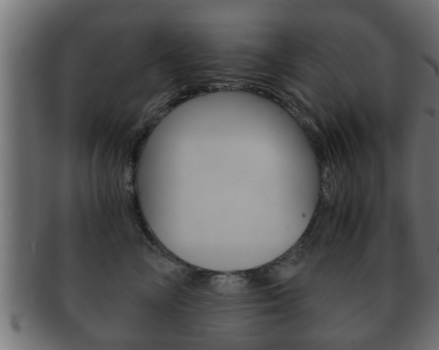X0000092310714200709141031