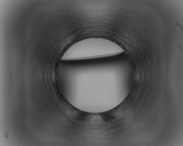 X0000092310715200709141031