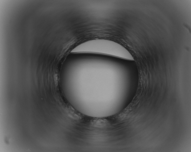 X0000092310716200709141031