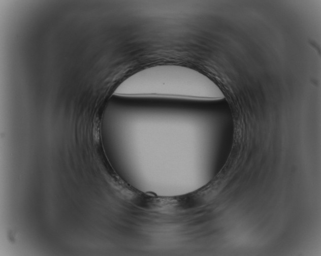 X0000092310719200709141031