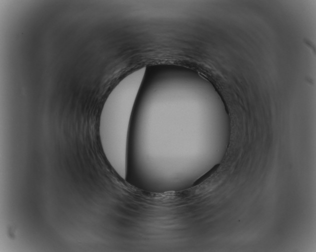 X0000092310720200709141031