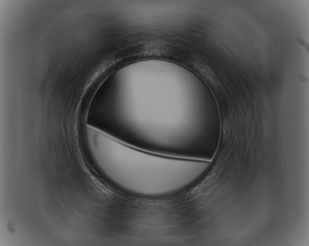 X0000092310722200709141030