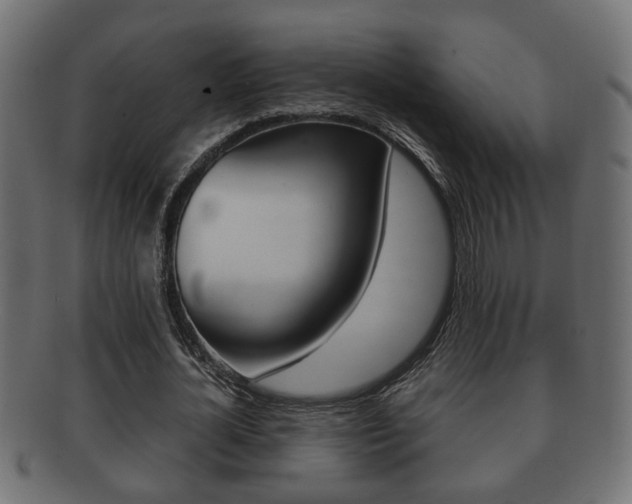 X0000092310724200709141030