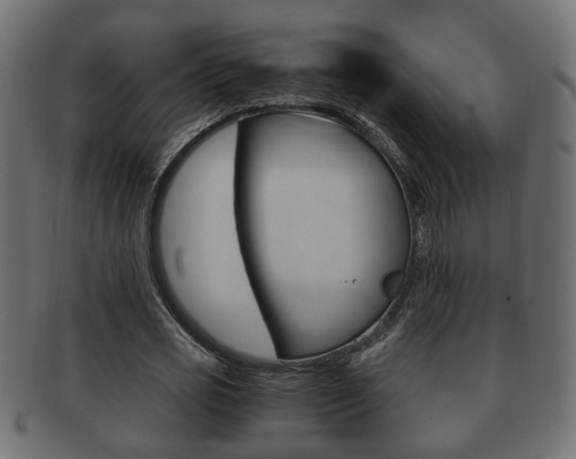 X0000092310725200709141030
