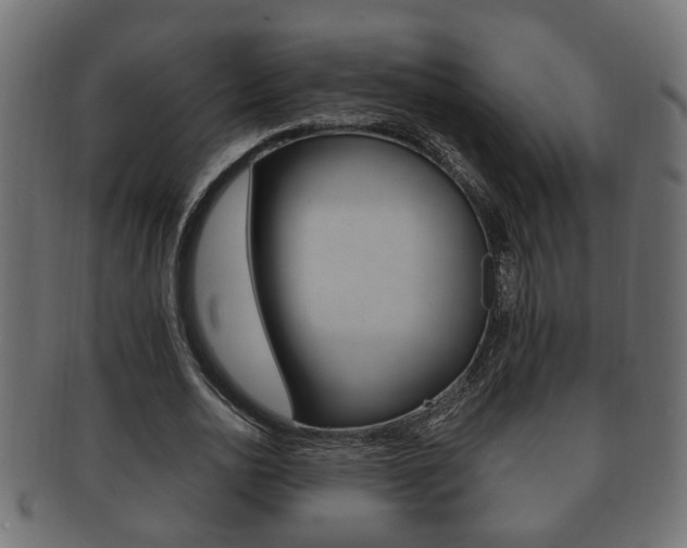 X0000092310726200709141030
