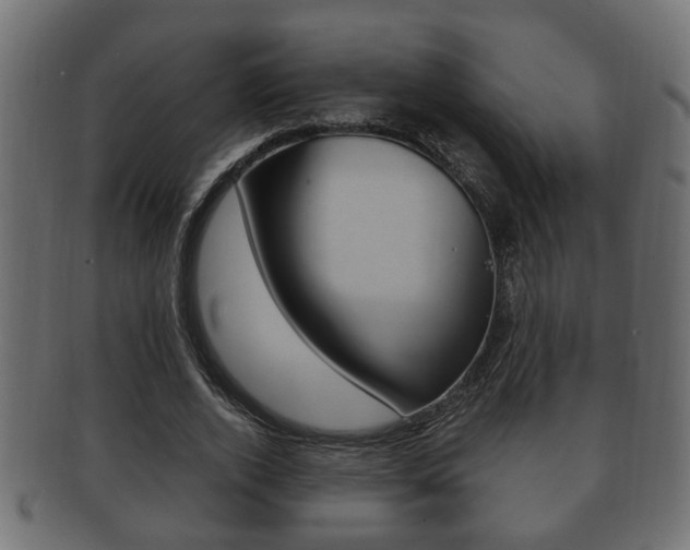 X0000092310728200709141030