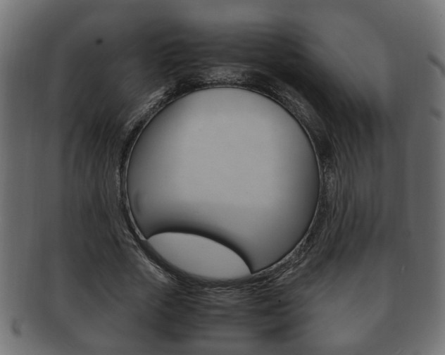 X0000092310729200709141030