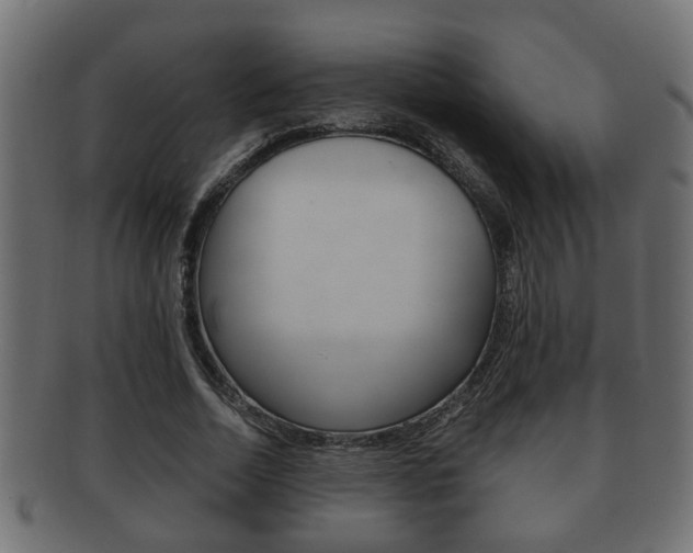 X0000092310730200709141030