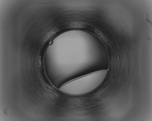 X0000092310731200709141030