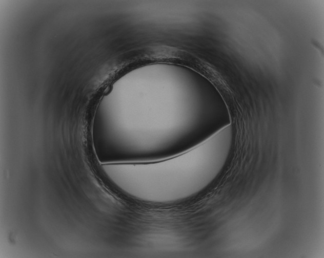 X0000092310732200709141030