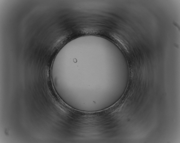 X0000092310733200709141030
