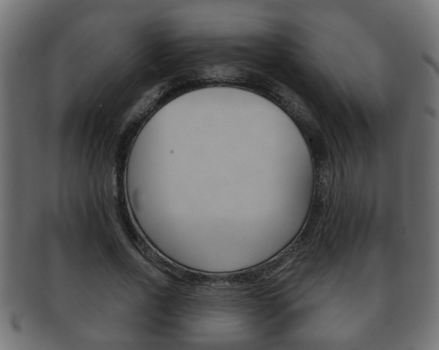 X0000092310734200709141030