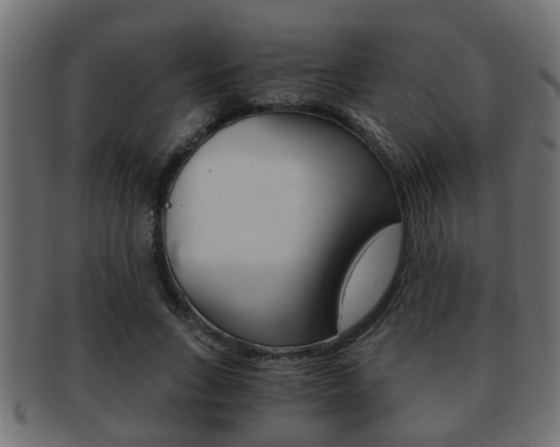 X0000092310735200709141030