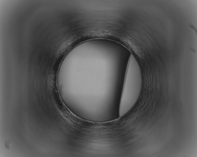 X0000092310736200709141030