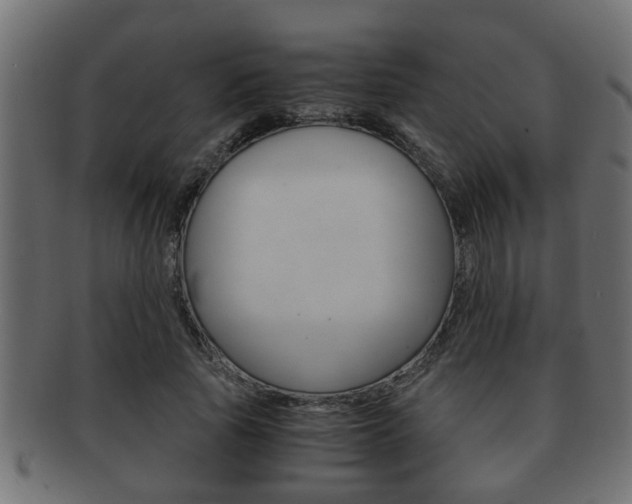 X0000092310737200709141030