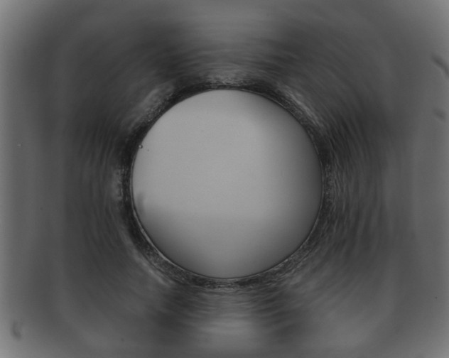 X0000092310738200709141030