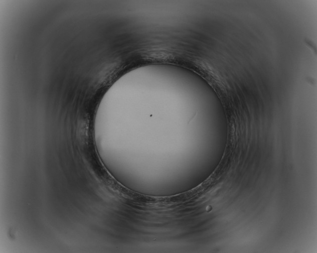 X0000092310739200709141030